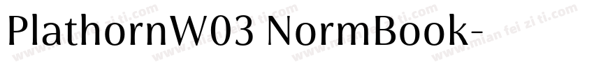 PlathornW03 NormBook字体转换